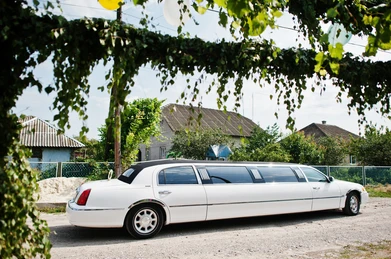 exectutive limousine hire in Stanmore